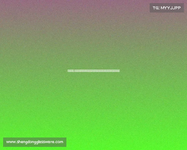 辽足赛事;辽足在中国足球协会超级联赛征战历程全方位解析与未来赛事前瞻